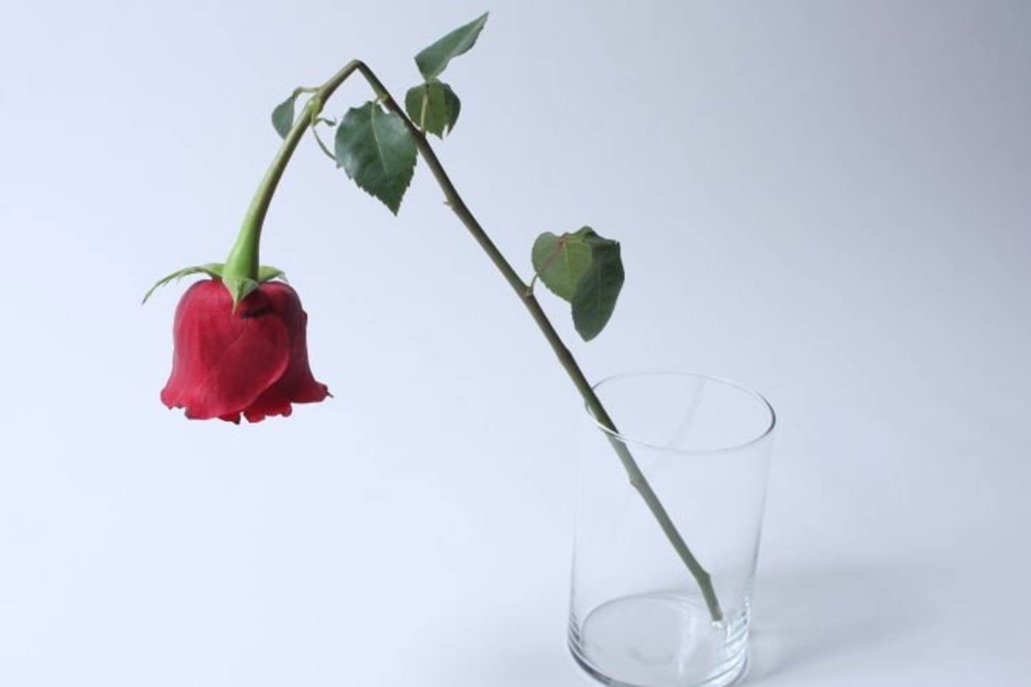 How Women Can Help Treat Erectile Dysfunction