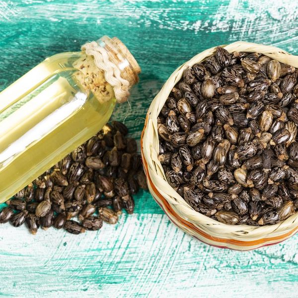 Dried seeds And Oil From The Fruit Of The Castor Bean Plant