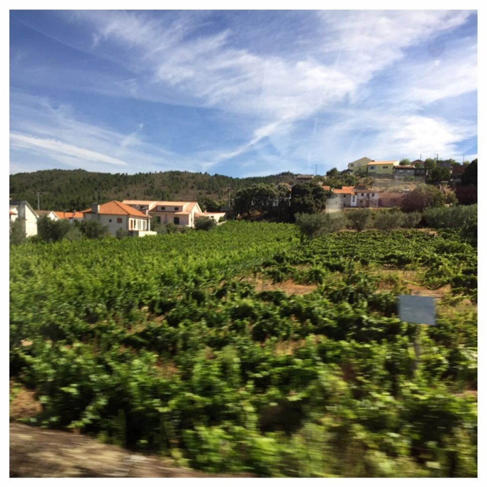 During our free time in the morning, we walked around the city streets: