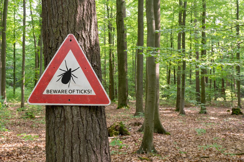 Early Signs of Lyme Disease
