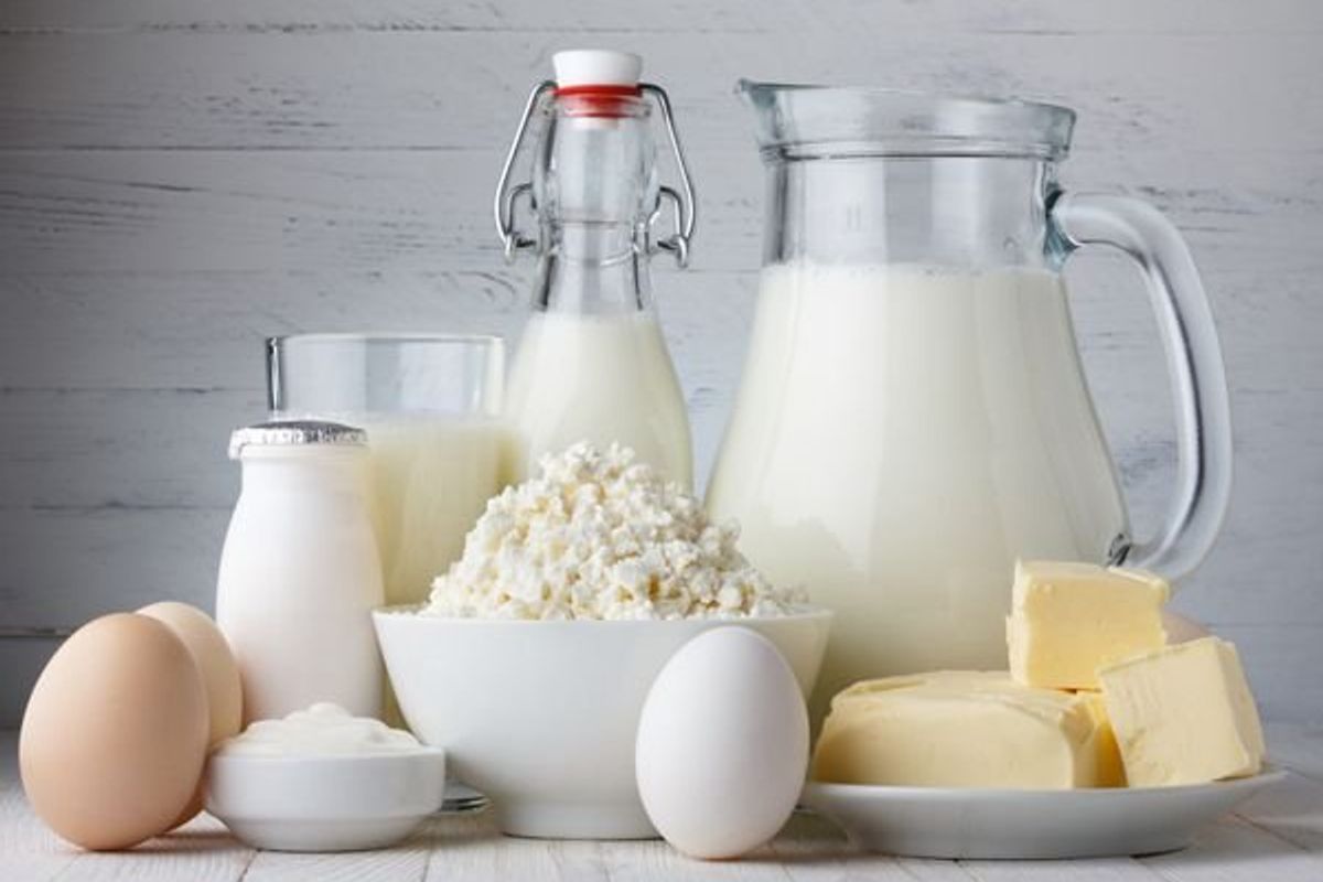 eggs and dairy products