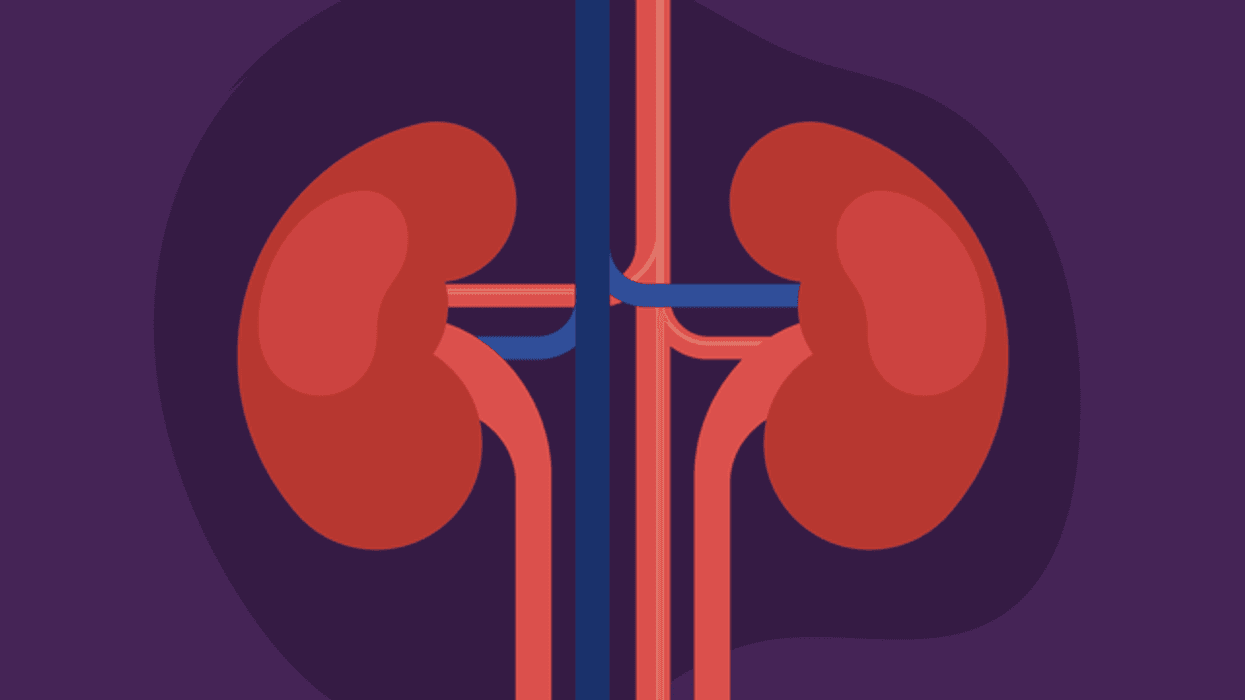 el poder de los rinones