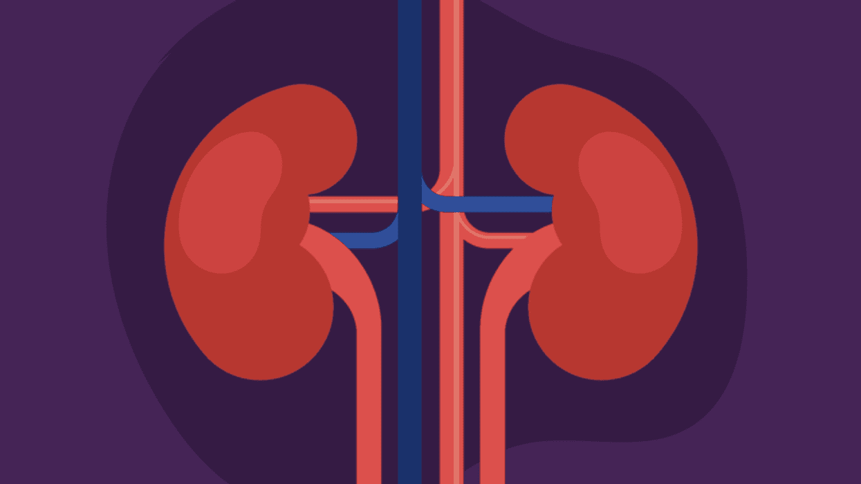 El poder de los riñones