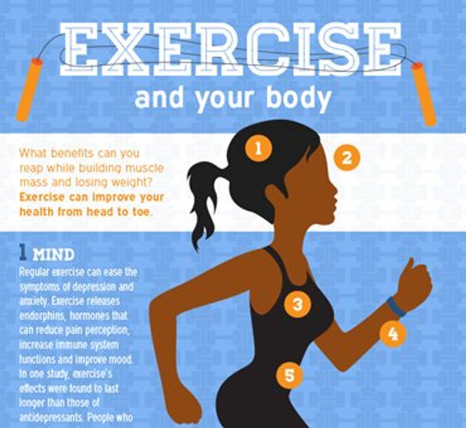 Exercise and Your Body