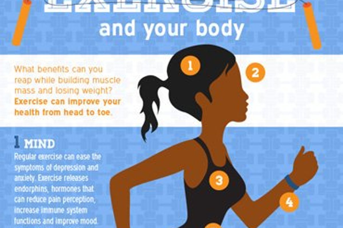 Exercise and Your Body