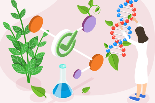 Explicación de los biosimilares