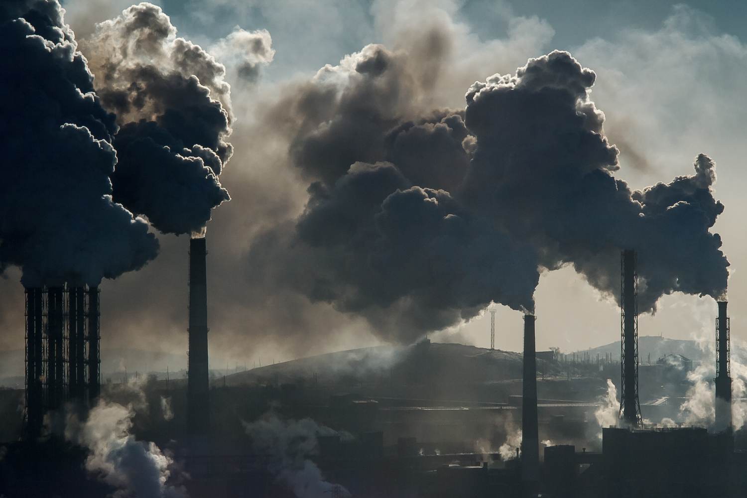 Exposure to Man-Made Chemicals Influences Genes Controlling Aging, Immune System and Metabolism