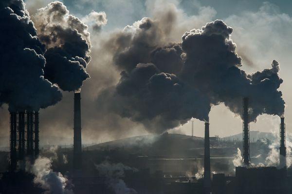 Exposure to Man-Made Chemicals Influences Genes Controlling Aging, Immune System and Metabolism