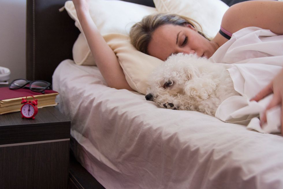 Do You Share a Bed With Your Dog? HealthyWomen