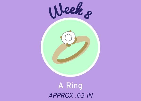 8 Weeks Pregnant Preparing For Your First Prenatal Visit Healthywomen