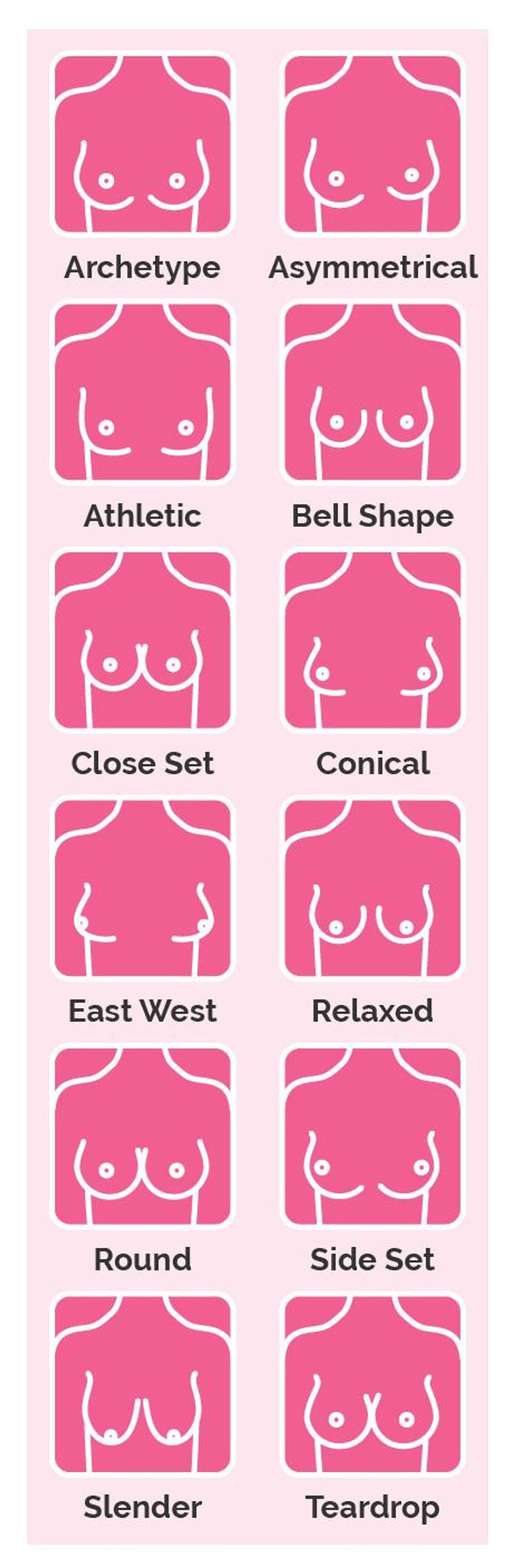 Breasts Types  Types of Breasts