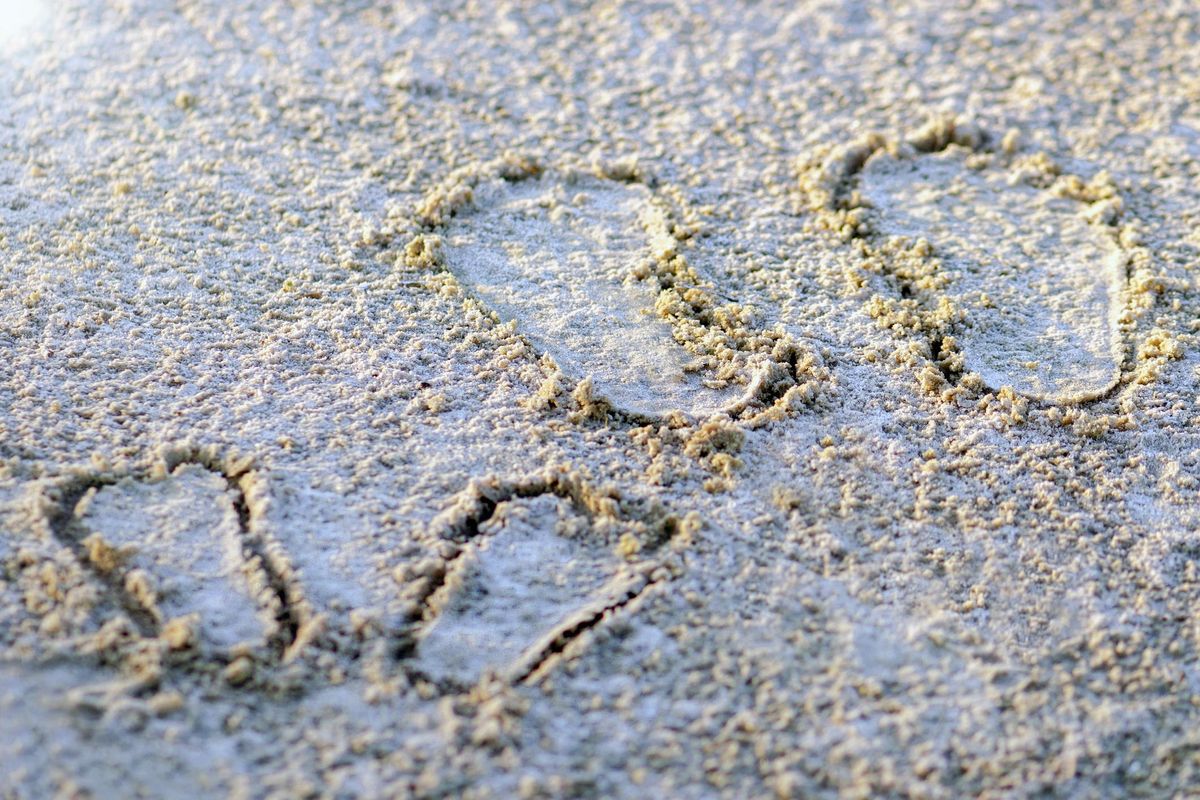 Family footprints on the sand