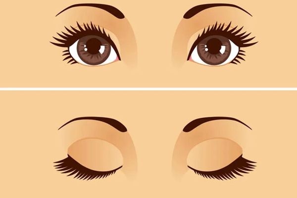 eyes