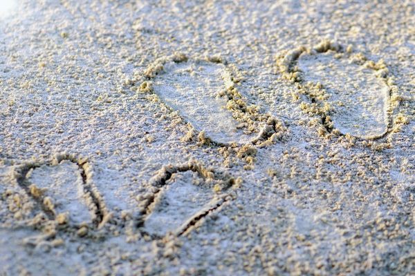 Family footprints on the sand