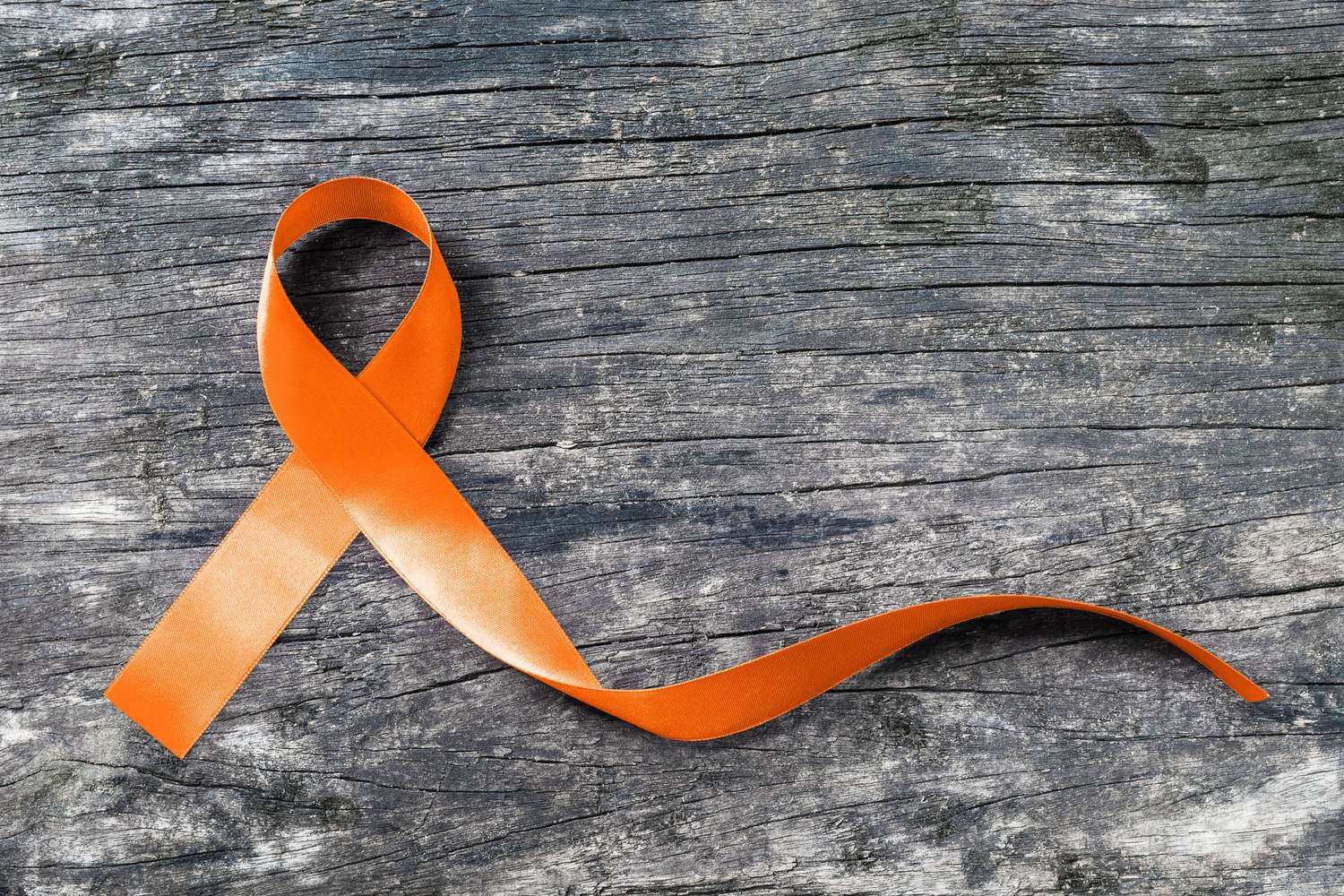 Fact Facts: Everything You Need to Know About Multiple Sclerosis
