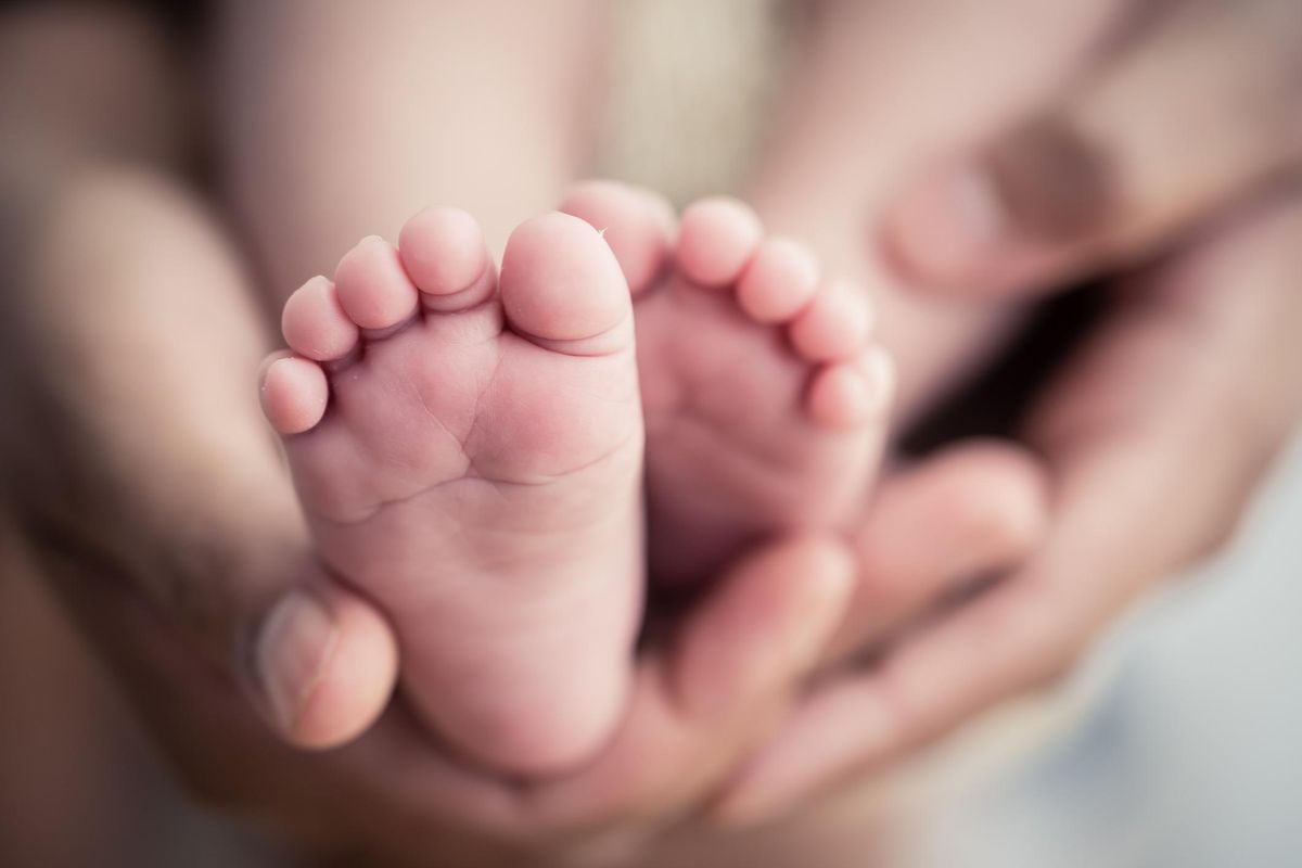 Feet of a newborn baby in the hands of parents