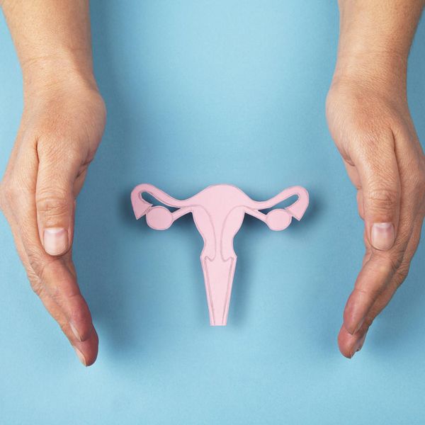 Female reproductive system