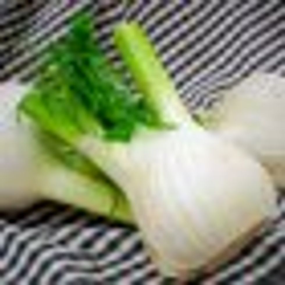 Fennel and Tuna Sandwich