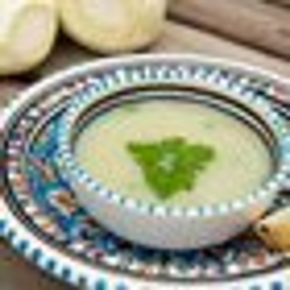 Fennel Velouté