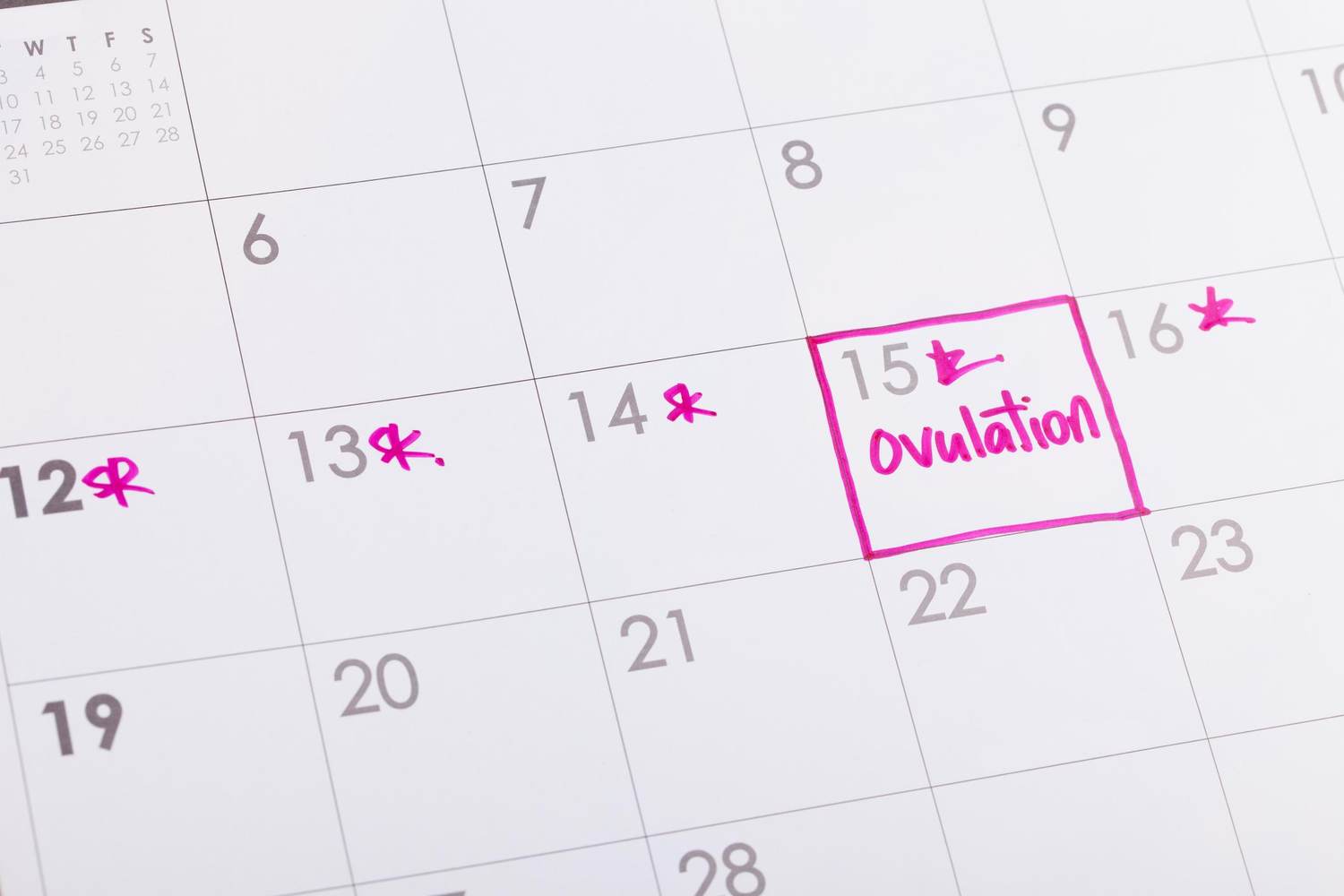 What No One Tells You About Trying to Conceive