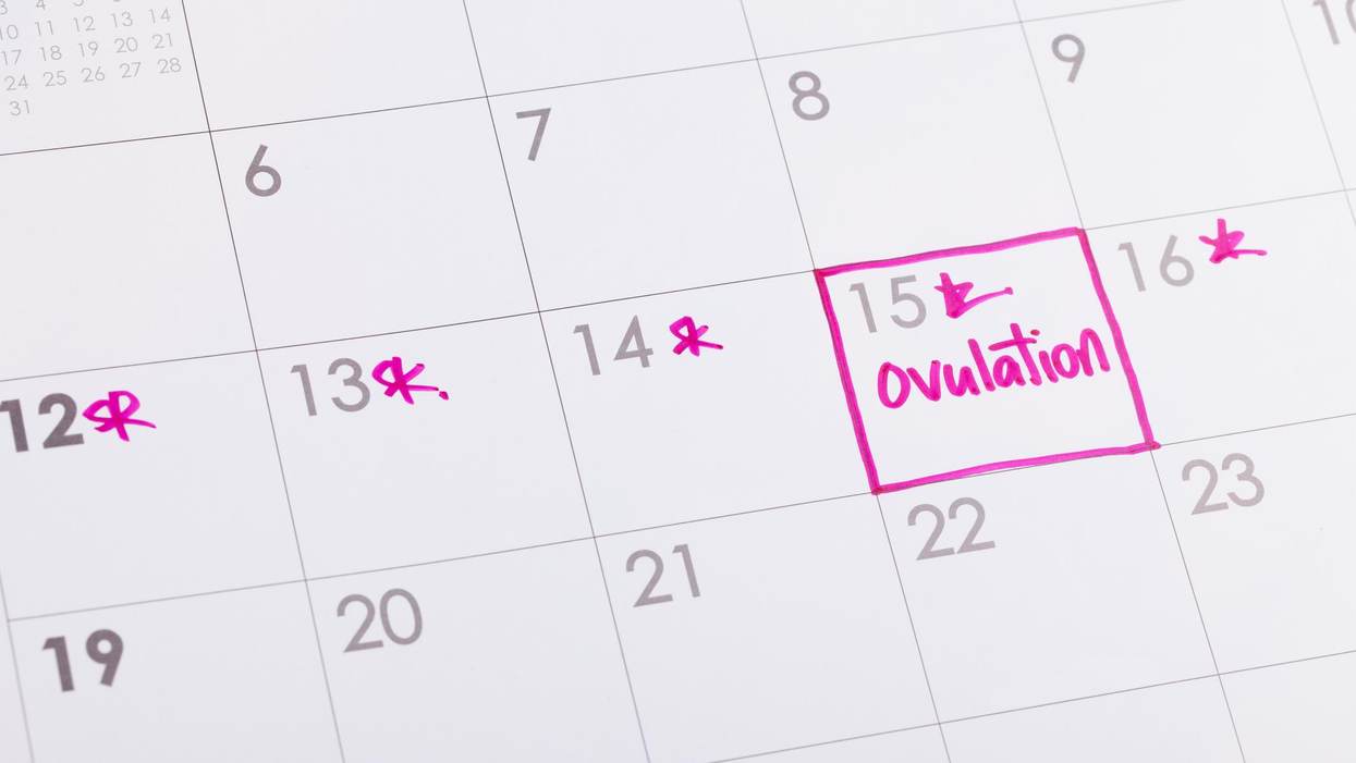What No One Tells You About Trying to Conceive