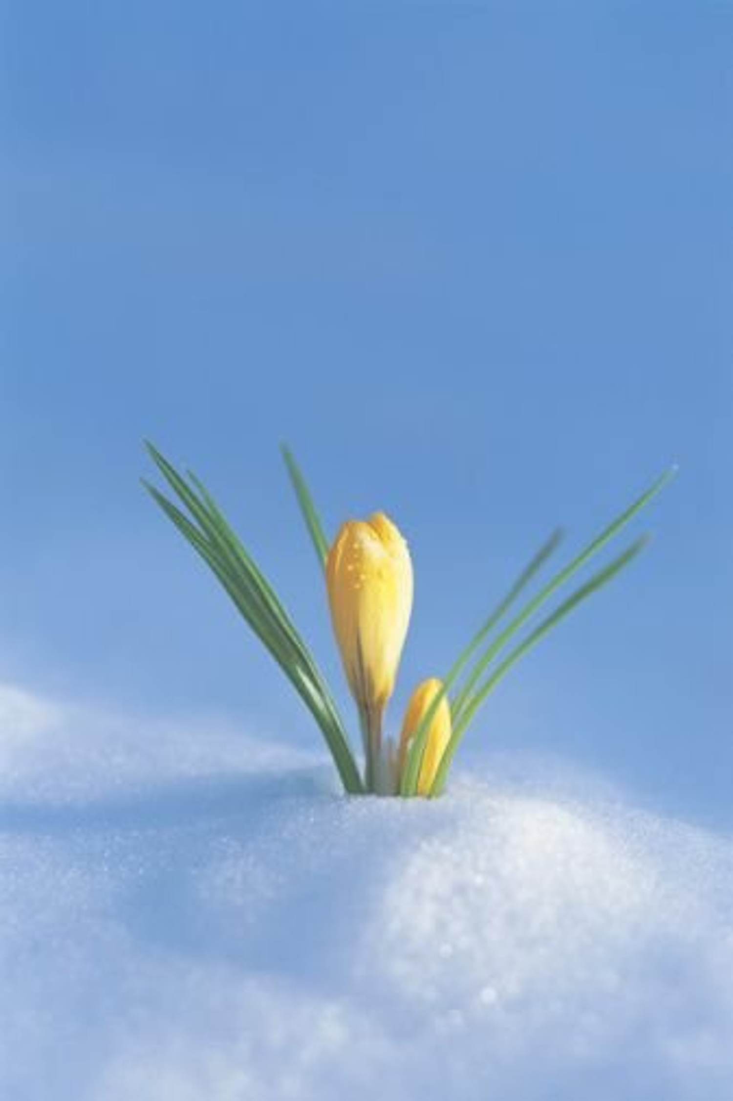 Winter Growth: Rethinking Organizing for Less Stress