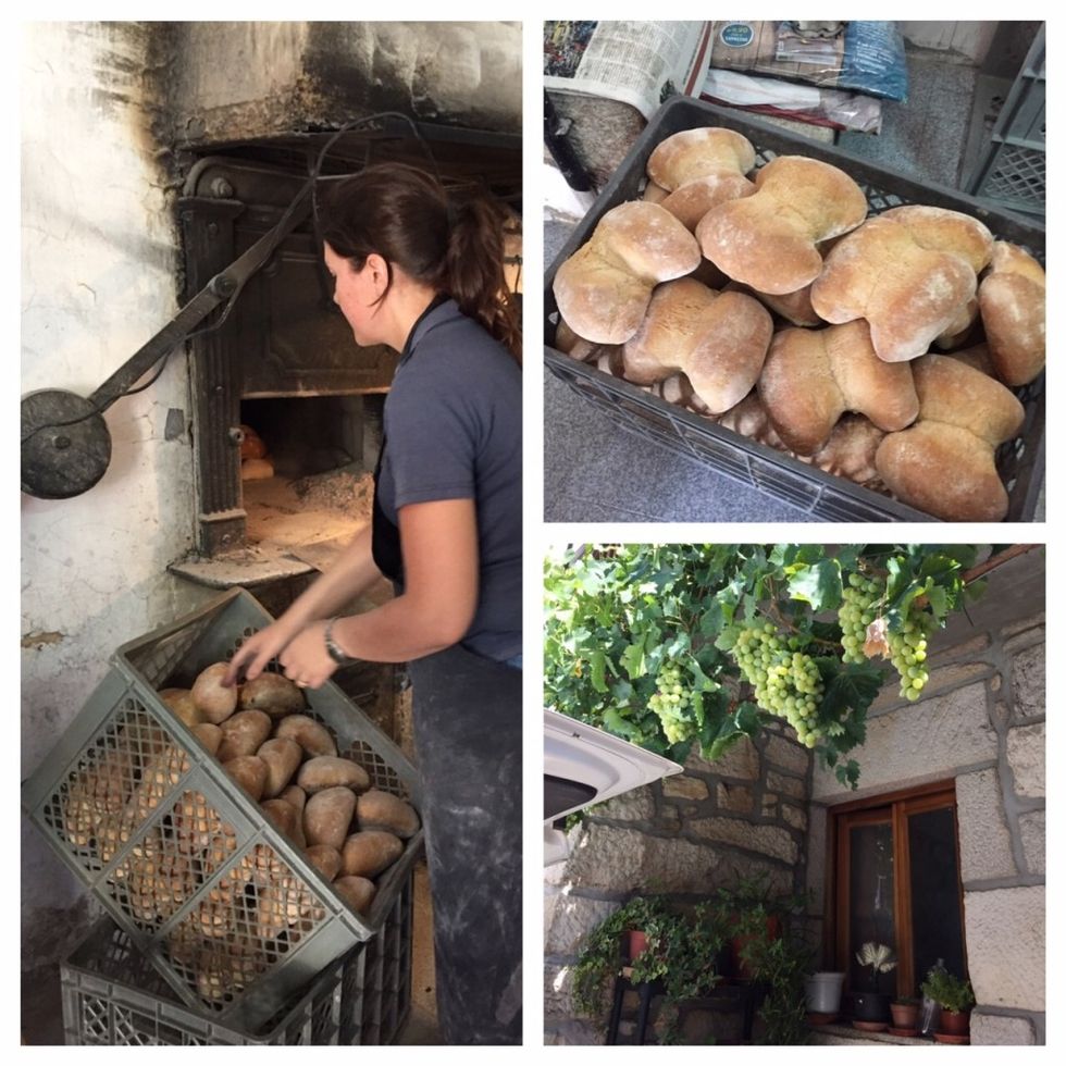 Four corners bread is fresh from the ovens in Favaios. Grapes hang from the outside of the bakery.