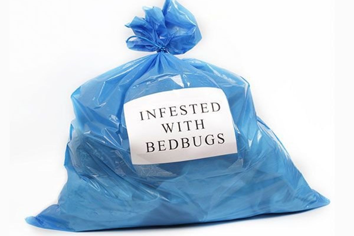 garbage bag with sign that says infeseted with bedbugs