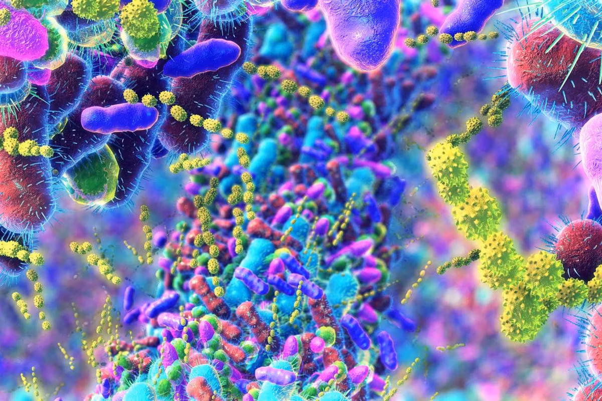 germs in the human intestines called microbiome