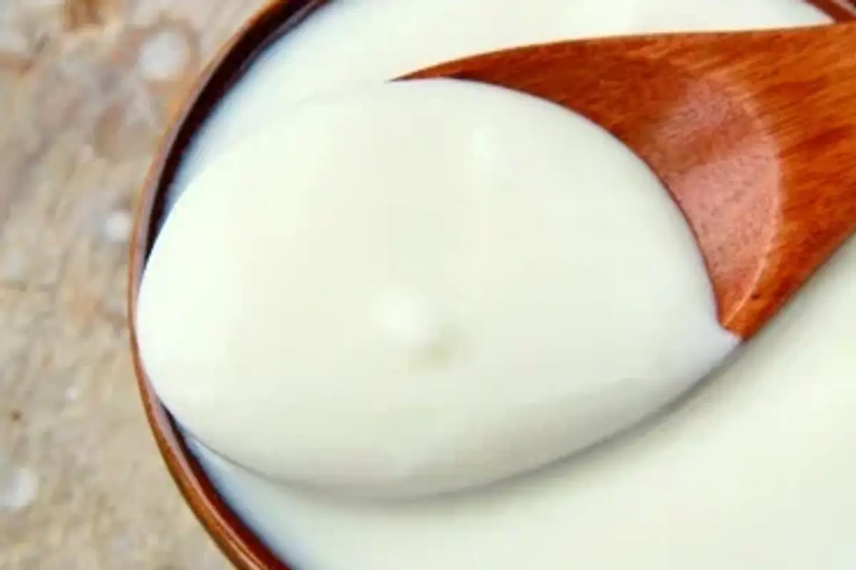 greek yogurt