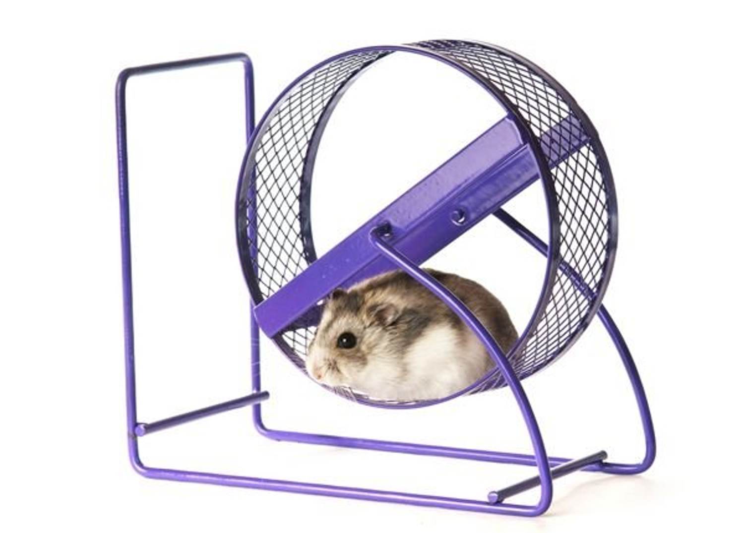 Another Reason to Embrace Aerobic Exercise: It May Protect Vision