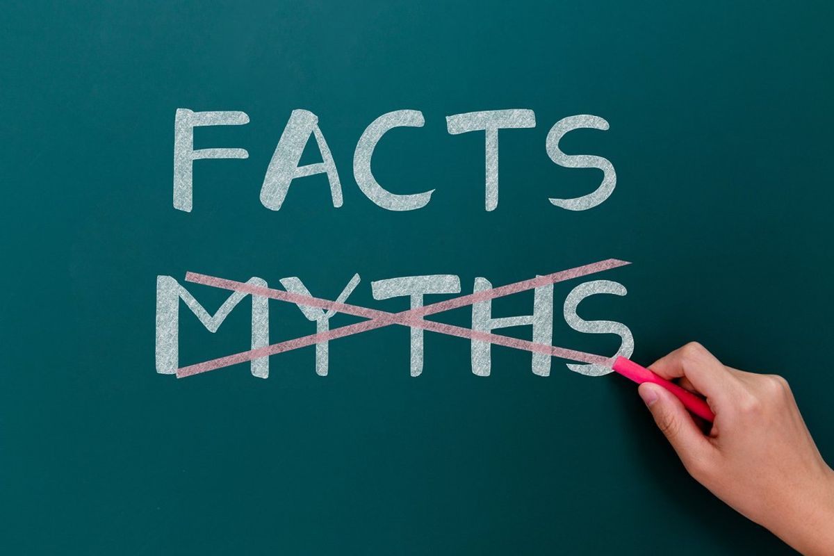 Hand drawing facts and myths on blackboard
