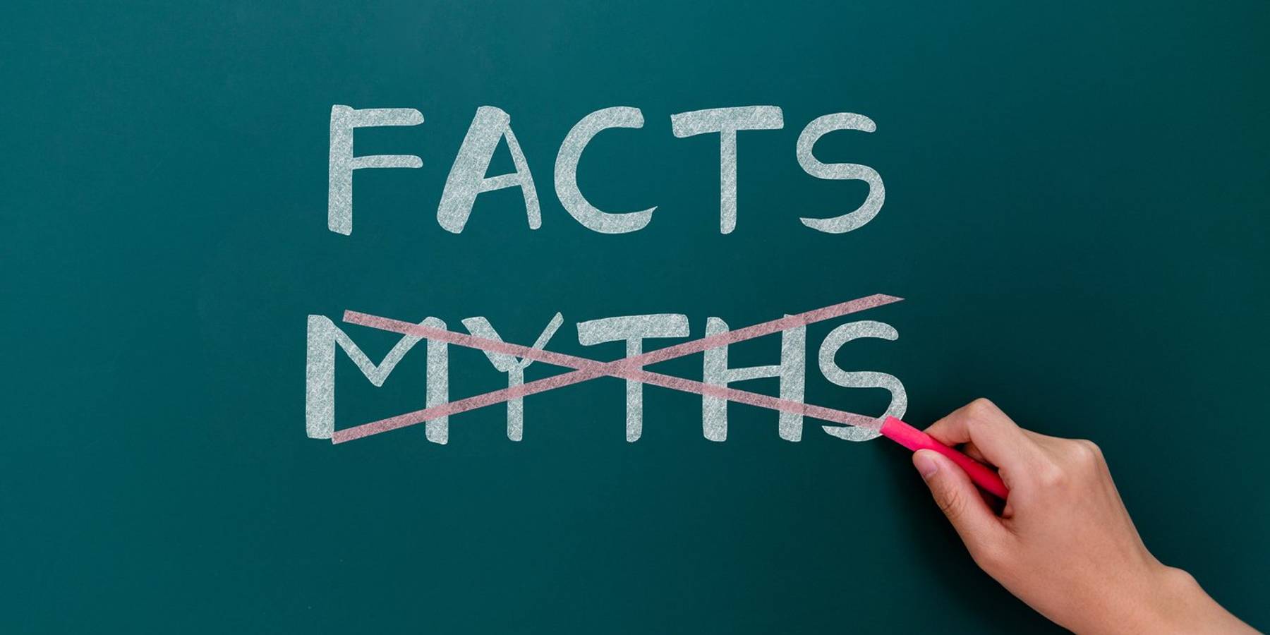 Hand drawing facts and myths on blackboard