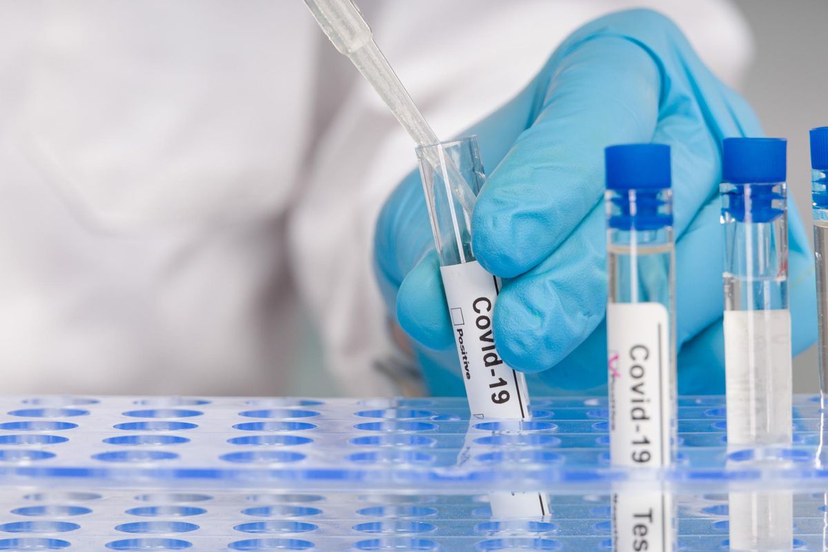 Hand in blue gloves working with test tubes