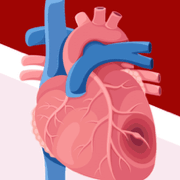 ¿Has escuchado hablar de la amiloidosis cardíaca por transtiretina (ATTR-CM)? infographic