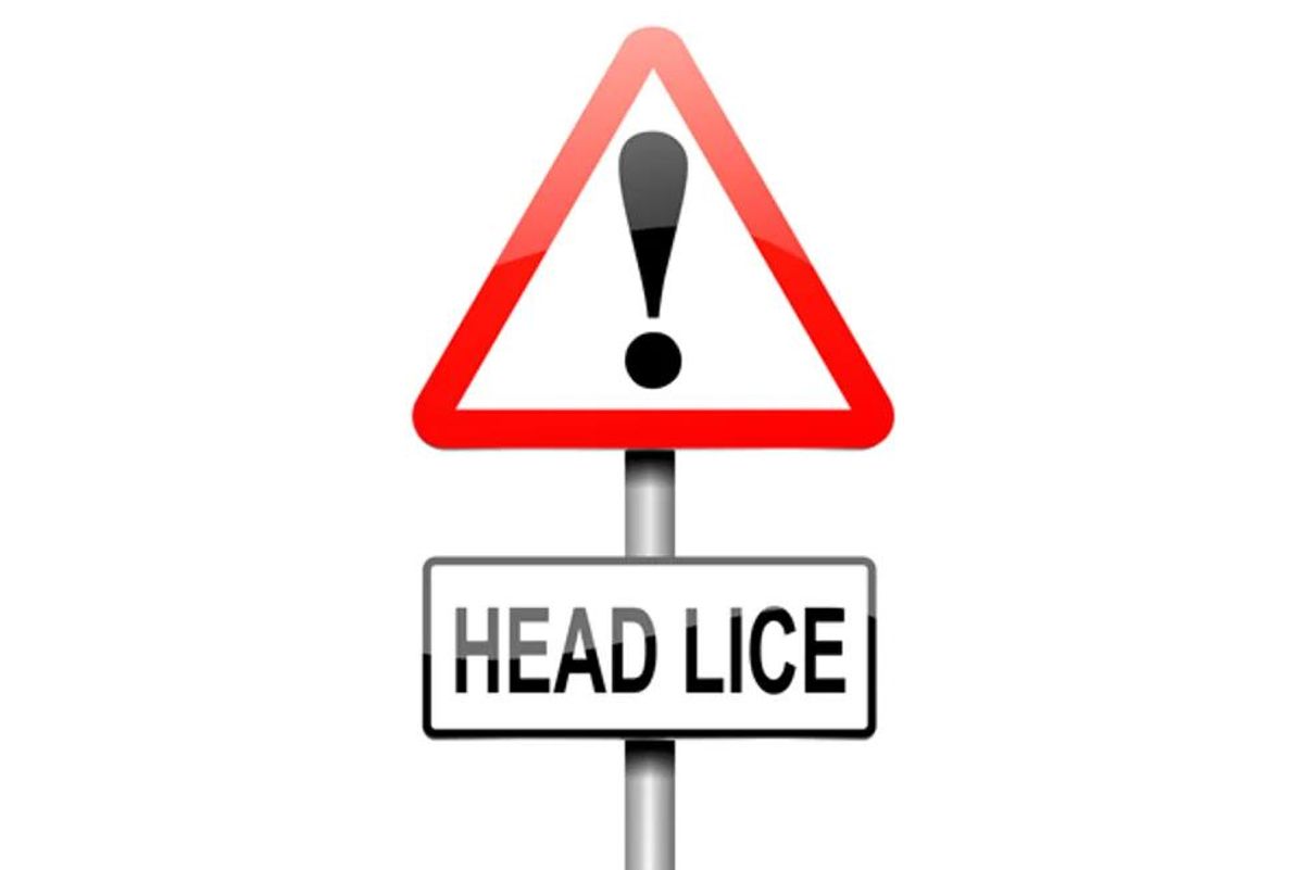head lice sign