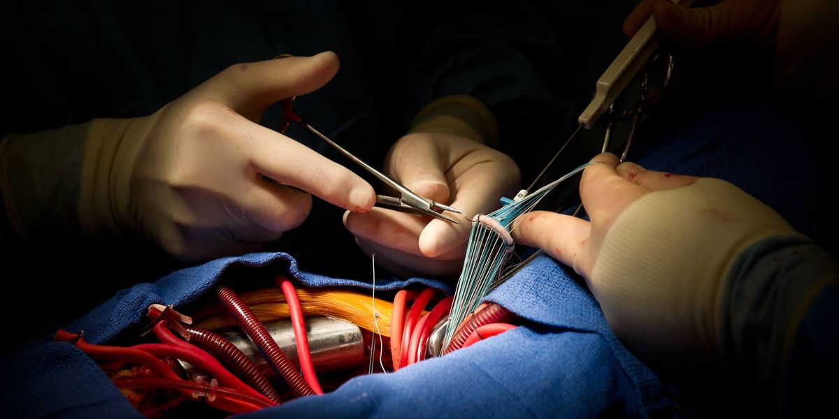 Heart Valve Disease: Symptoms, Treatment and What Patients Should Know