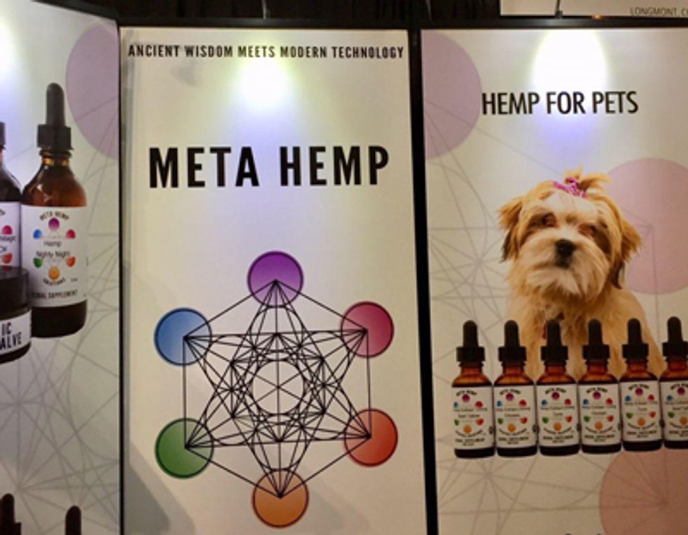 Hemp products and supplements are trendy\u2014even for your dog.