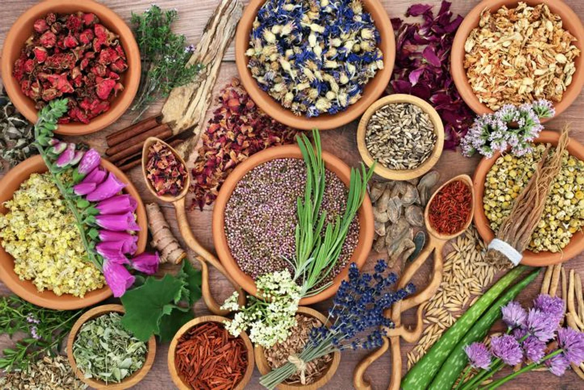 Herbal Plant Medicine for Natural Healing Medication