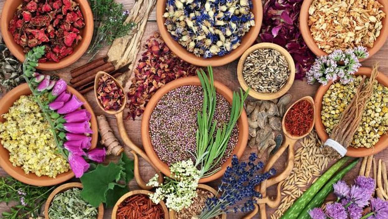 Answers About Ashwagandha