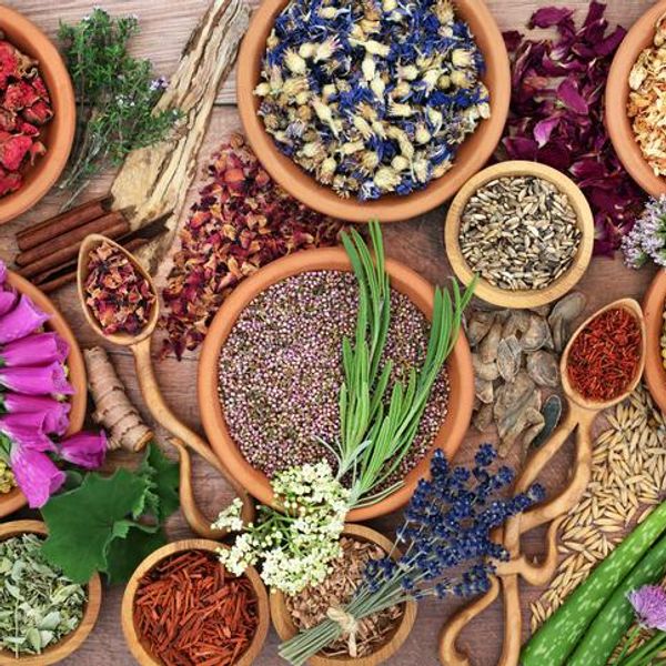 Herbal Plant Medicine for Natural Healing Medication
