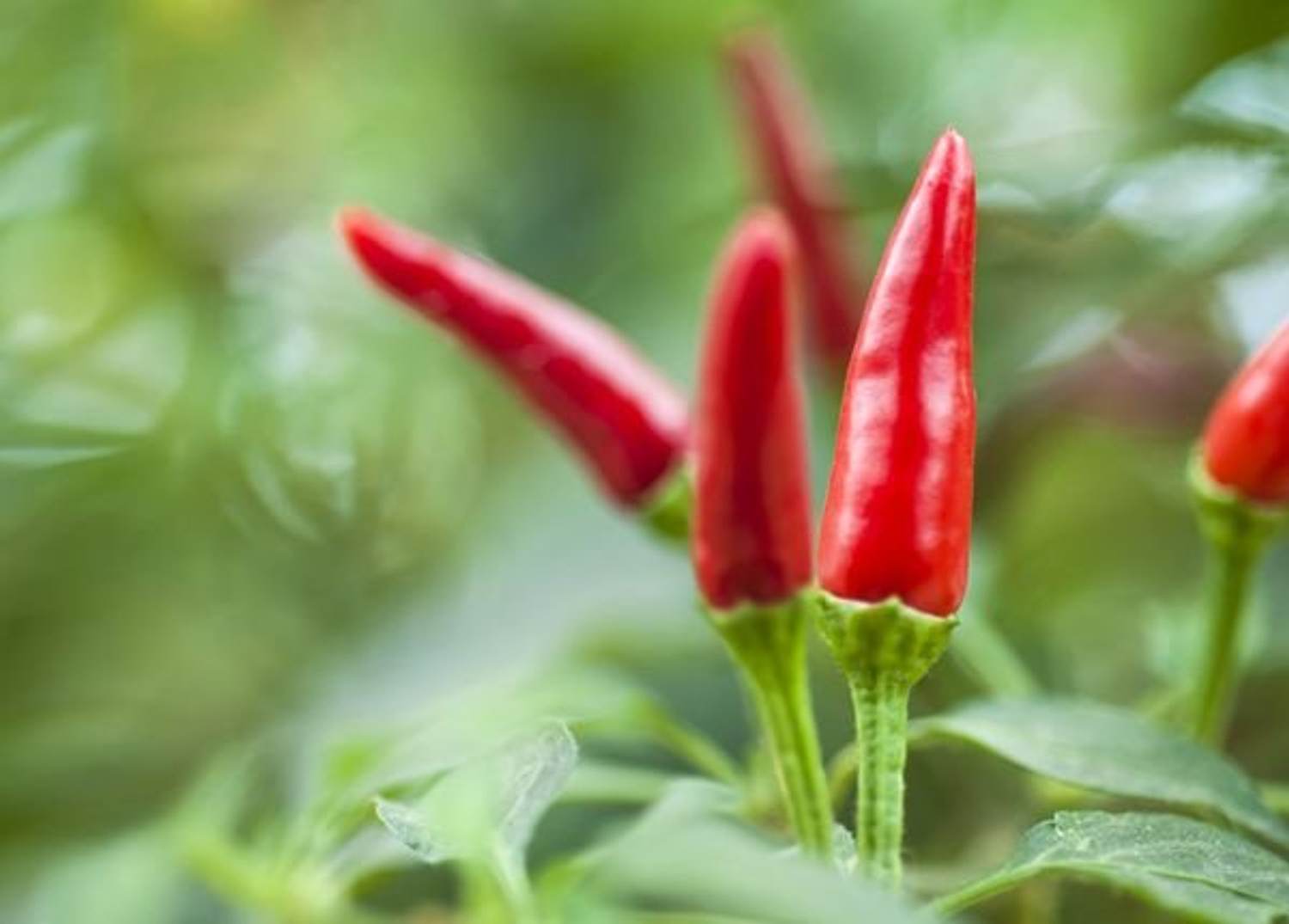 Spice It Up: 5 Ways to Increase Your Sex Drive Naturally