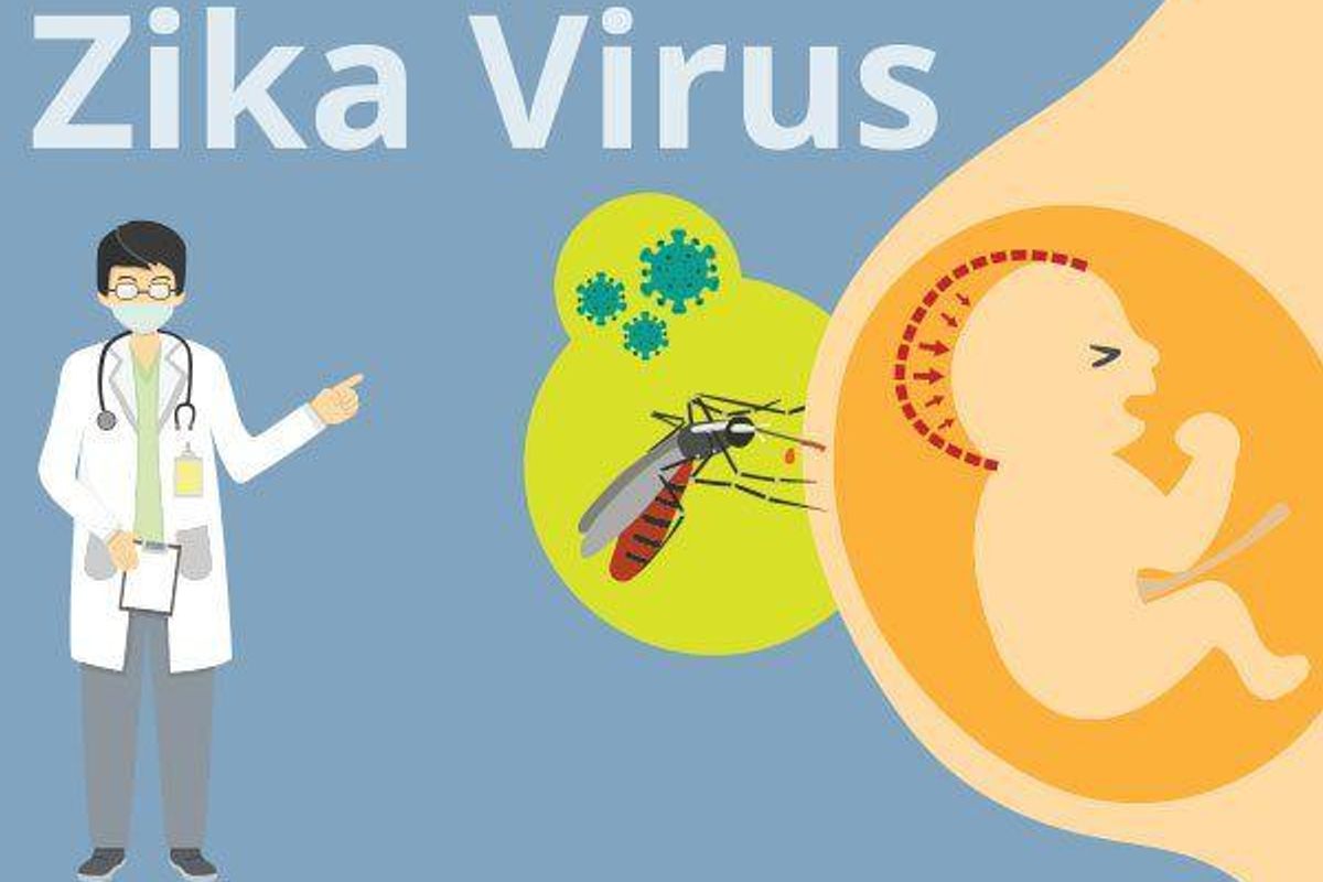 How Does the Zika Virus Spread From Pregnant Mom to Baby?