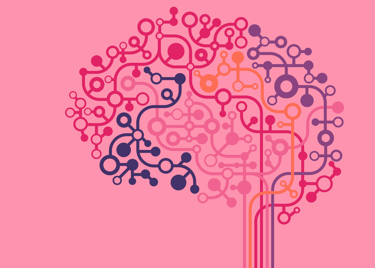 How MS Affects the Body