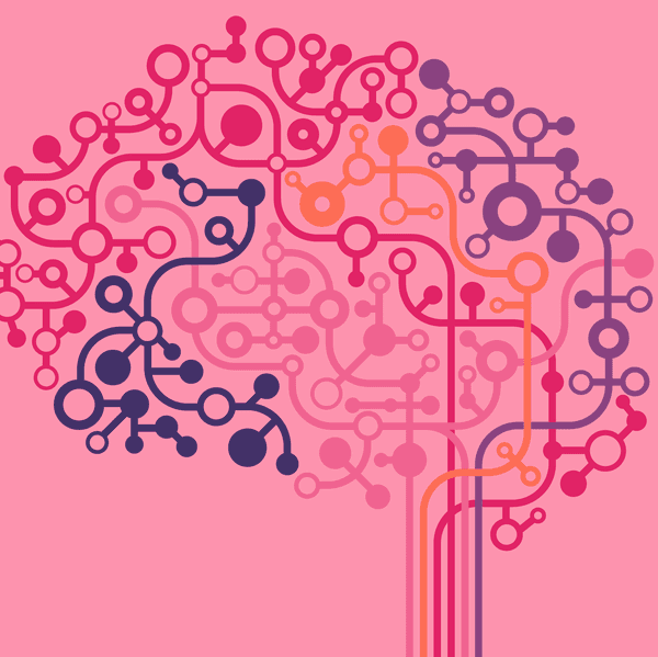 How MS Affects the Body