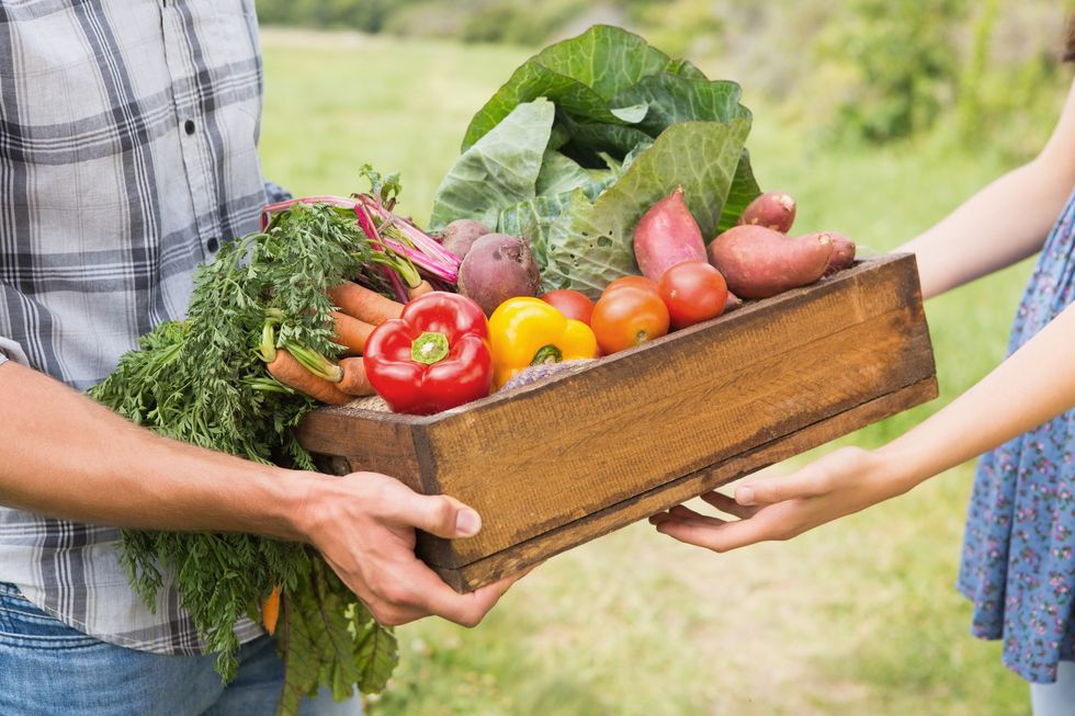 How to Join a CSA Farm Share