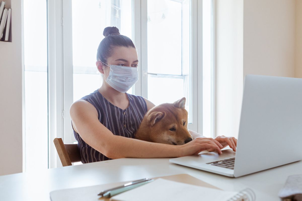 How to Use Ventilation and Air Filtration to Prevent the Spread of Coronavirus Indoors