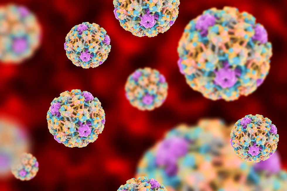 Human papillomaviruses on colorful background
