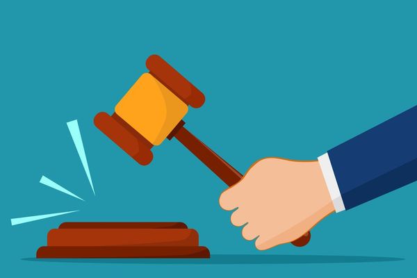 illustration of a person holding a gavel