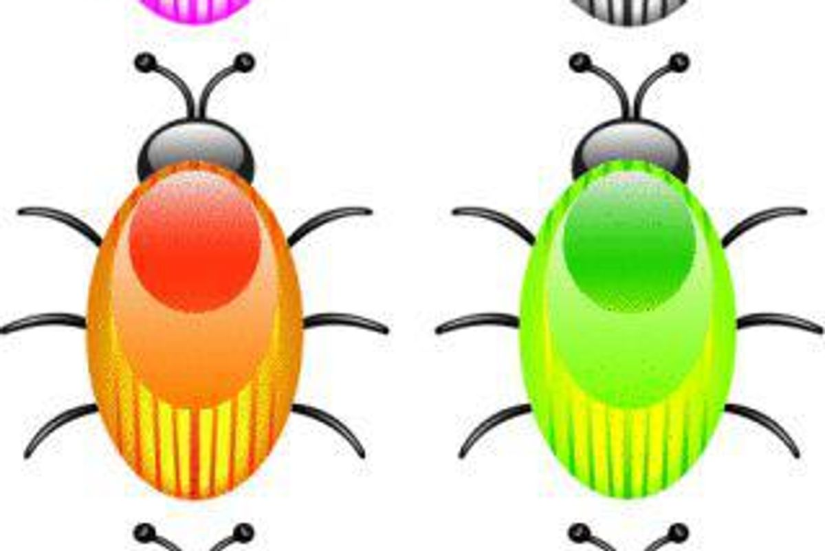 illustration of bugs